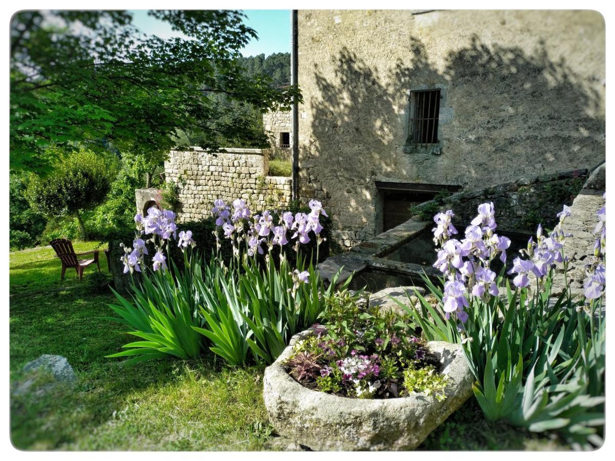 Oracines Du Calme Maison Helianthy Sanilhac  Экстерьер фото